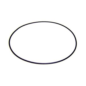 Junta brida motor bomba AstralPool Victoria Plus 4405010160