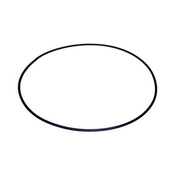 Junta brida motor bomba AstralPool Victoria Plus 4405010160