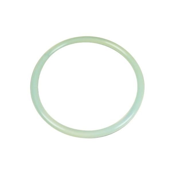 Junta tapa filtro AstralPool Aster Rapid 4404020111